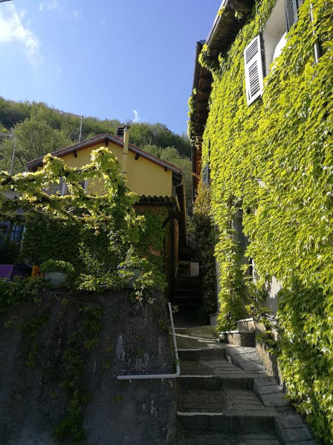 Casale Maria Mafalda Pieve di Teco Εξωτερικό φωτογραφία